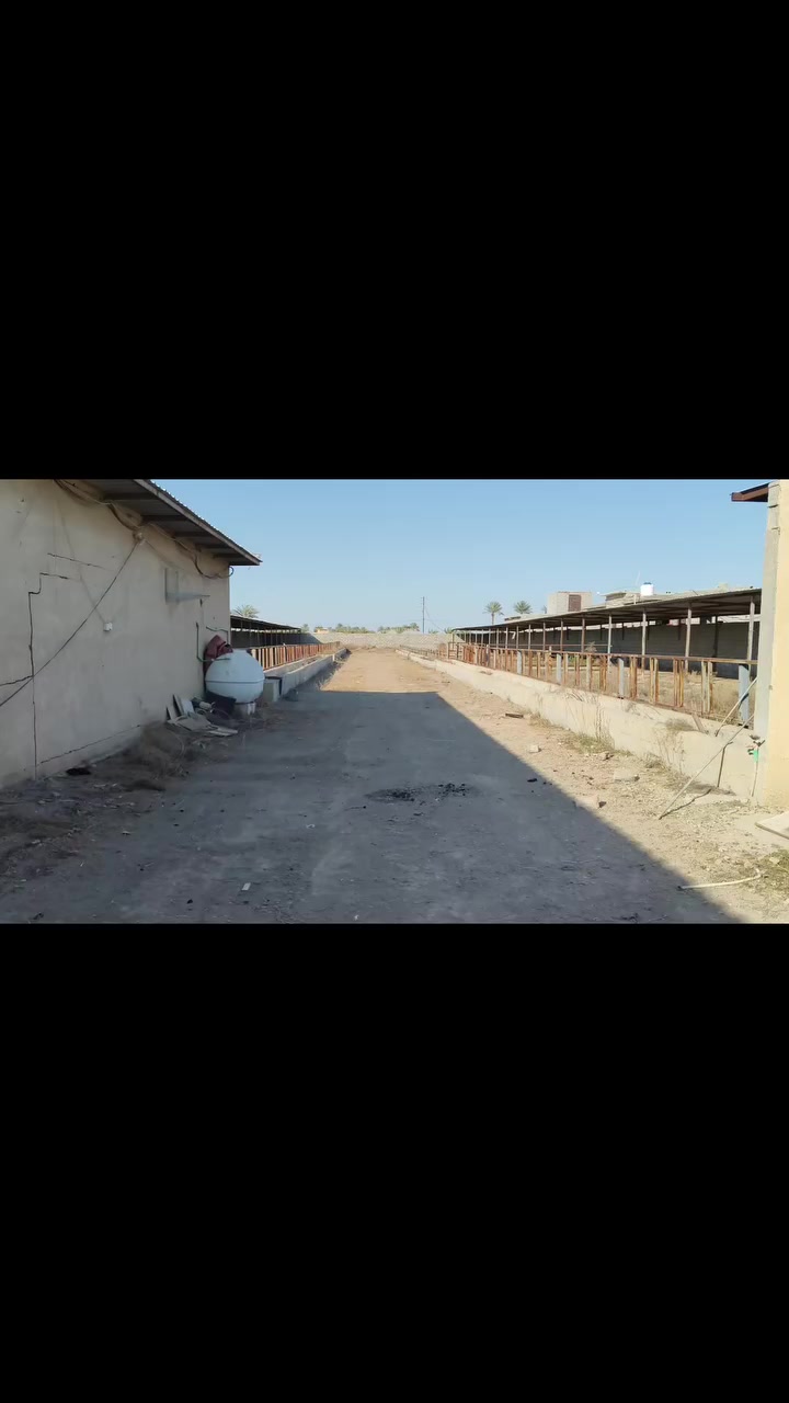 السلام عليكم 
الارض موقعها ابو غريب الشيحه قرب محطه جوهره العدنان تبعد عن الخط السريع حوالي خمس دقائق وعن الغزاليه عشر دقائق مساحه الارض دونمين ونص واقع حال في السند دونمين تحتوي ع حقل ابقار يتسع لاكثر من ٣٠٠بقره والاغنام وايضا يوجد فيها حقل لزراعه الافطر وتحتوي ع غرف للعمال عدد الغرف ٣ بس الغرف بناء عادي  يعني ع كد اداره المزعه لان جانت مخصصه للحيوانات اكرمك الله والماء والكهرباء متوفر فيها والمدرسه قريبه كلش عليها والمسجد مقابيل المزرعه  اما صنف الارض 17 
***********
