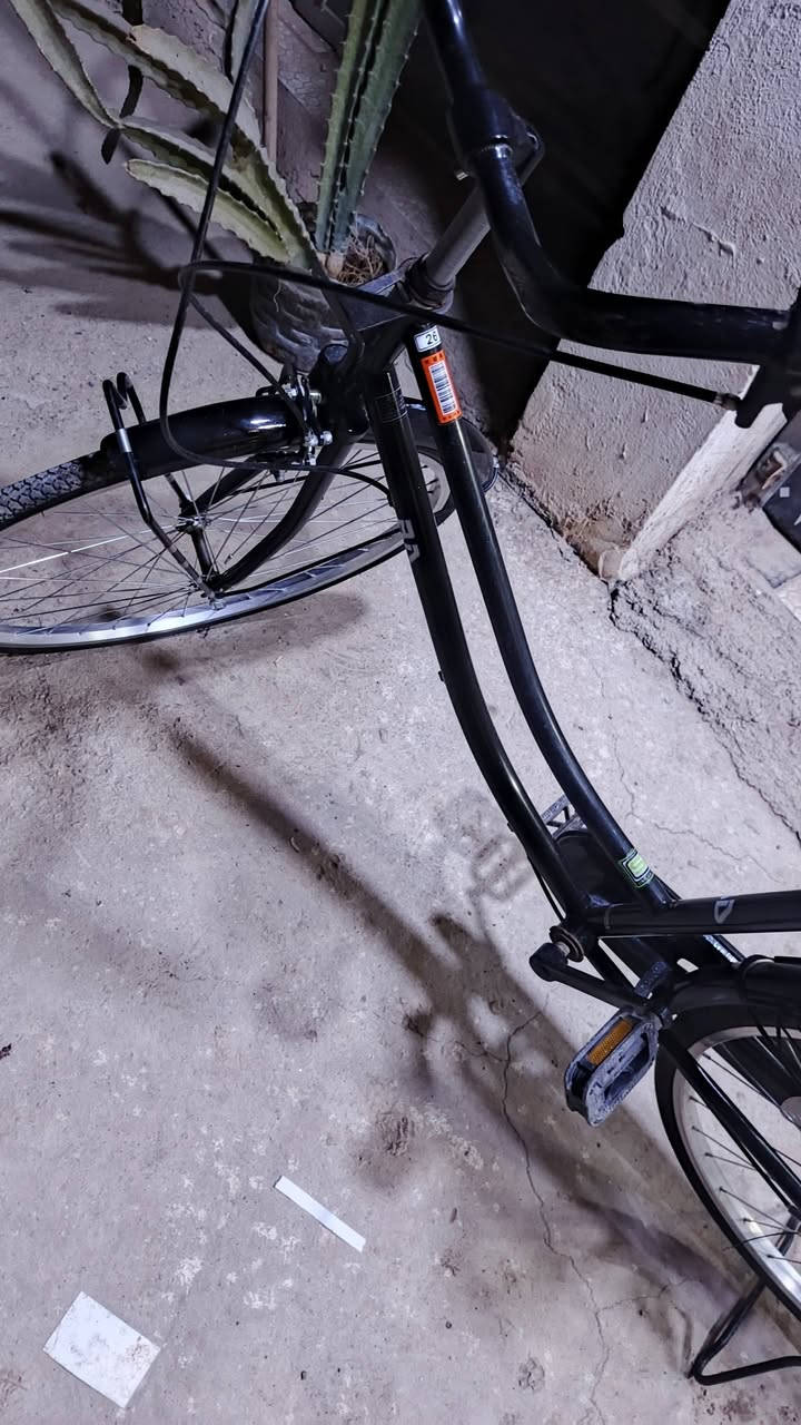 باسكل للبيع ب 80 وبي مجال وهاذ رقمي ***********
