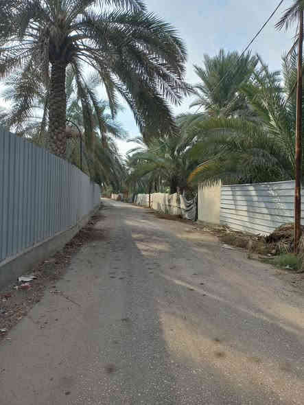 بسمه تعالى ونستعين / ((١٠٠٠م للبيع )) الواجه على فرعي مبلط ٣٠م طابو ملك صرف بستنه إقرار محكمه. تتوفر جميع الخدمات.              عباره عن شاليه استراحه. حدائق وغرفة استراحه مكان للشوي ومسبح وكما موضح بالصور التي هي طبقا. لواقع الحال تبعد من مركز. كربلاء والامامين عليهم السلام حدود.    ه كم العنوان طريق السيده زينب عليها. السلام وقرب حدائق. العتبه السعر ٤٥٠ مليون مجال جدا قليل ومداوله مع مالكها  للاستفسارات. واصلونا. هاتفيا واتساب خاص دمتم سالمين ( *********** )
