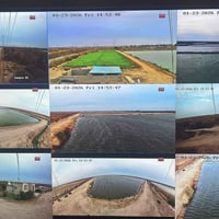 موقع بحيرات اسماك • ٣٠٠ دونم • كامرات PTZ متحركة