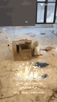 لأول مرة في مدينة الرفاعي 
بفضل الله وتوفيقه..
تم إفتتاح شركة إيليا للتنظيف الموقعي
تنظيف المنازل ودوائر الدولة والمجمعات التجارية 
موادنا من مناشى عالمية إيطاليه وألمانيه 
ذي قار قضاء الرفاعي 
الاستفسار والحجز 
*********** ***********
