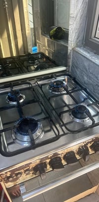 طباخ • عشتار • شغال