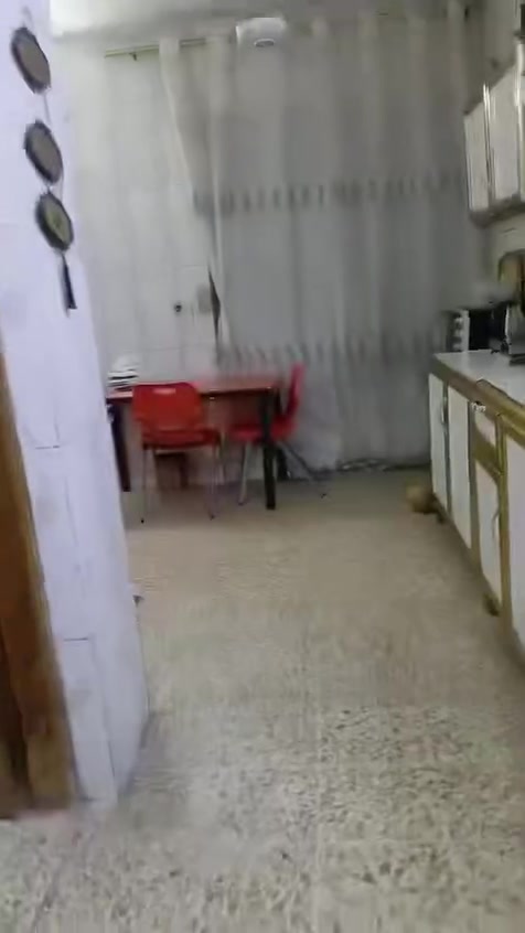 السلام عليكم 
للبيع بيت زراعي 100م طابق واحد في حي تونس شارع ابو امير قريب على الشارع العام تقريبا يبعد 60 م عن الشارع العام عرض الشارع 8 متر مقرنص مجاوي وماء كهرباء فول السند بسمي شخصي السعر اتصل على صاحب البيت 

‭0771 004 3540‬
