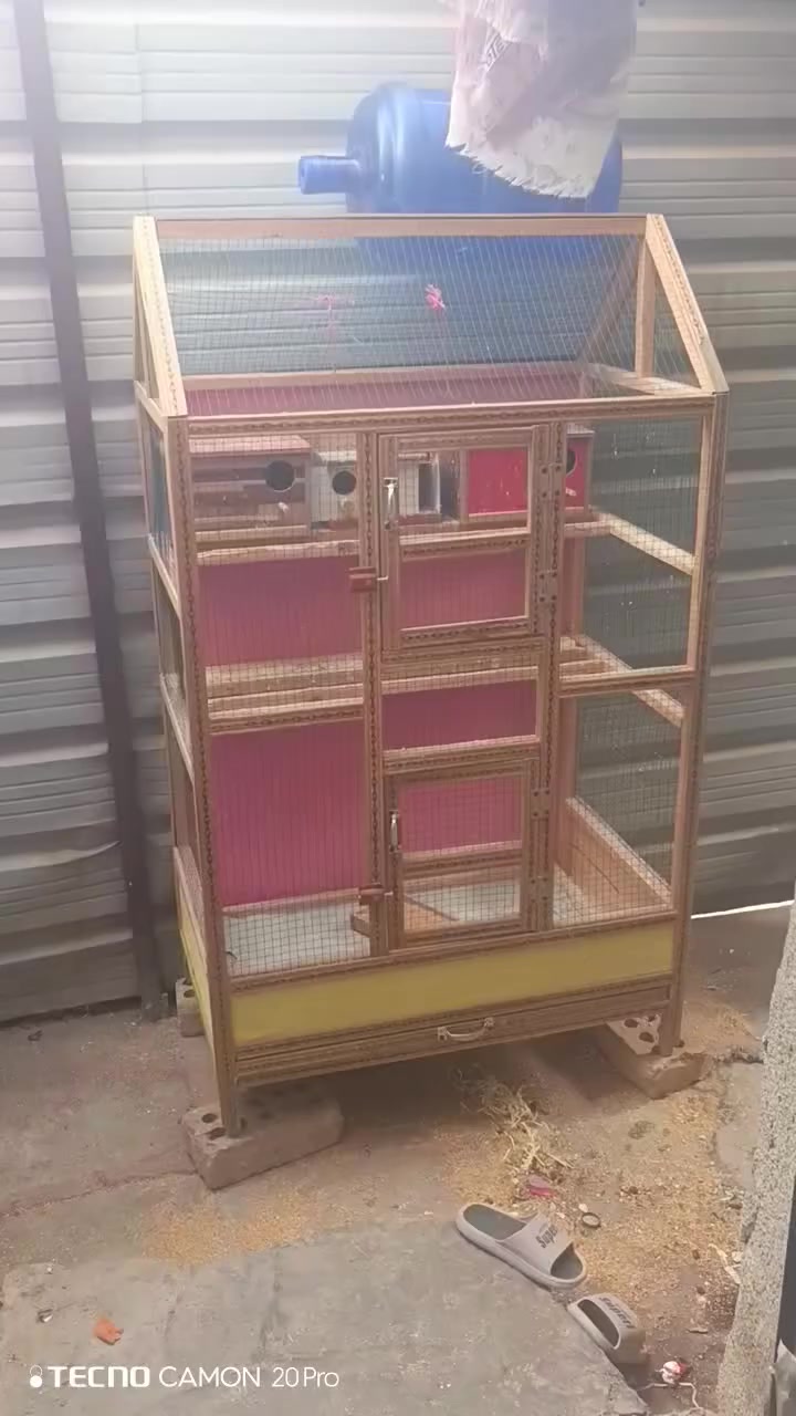 بغداد جكوك شارع حسينية قمر بني هاشم ع


**إذا كنت صاحب هذا الإعلان وتريد حذفه لأي سبب، رجاءا أرسل رسالة إلى الدعم الفني**