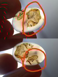 من سليمان • نوادر • ١٦ سنه