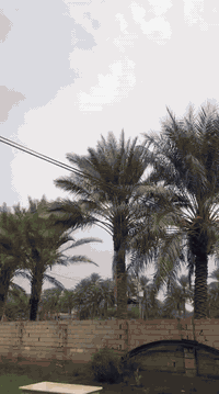 تي ماكس 8 • جديدة • بابل محاويل