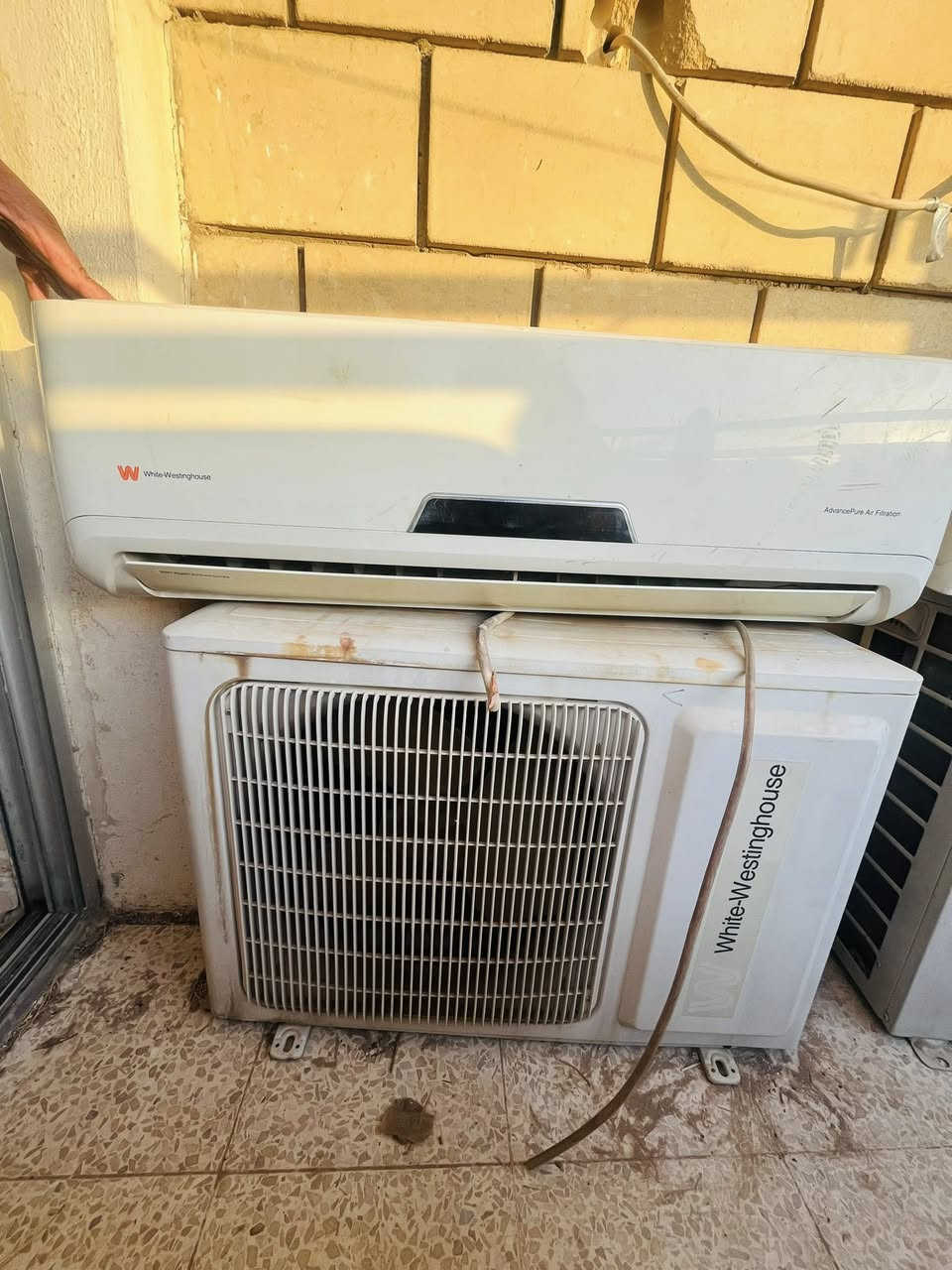 الجي طن وطن ونص الثاني   وتوسوت فقط داخليه للبيع حله


**إذا كنت صاحب هذا الإعلان وتريد حذفه لأي سبب، رجاءا أرسل رسالة إلى الدعم الفني**