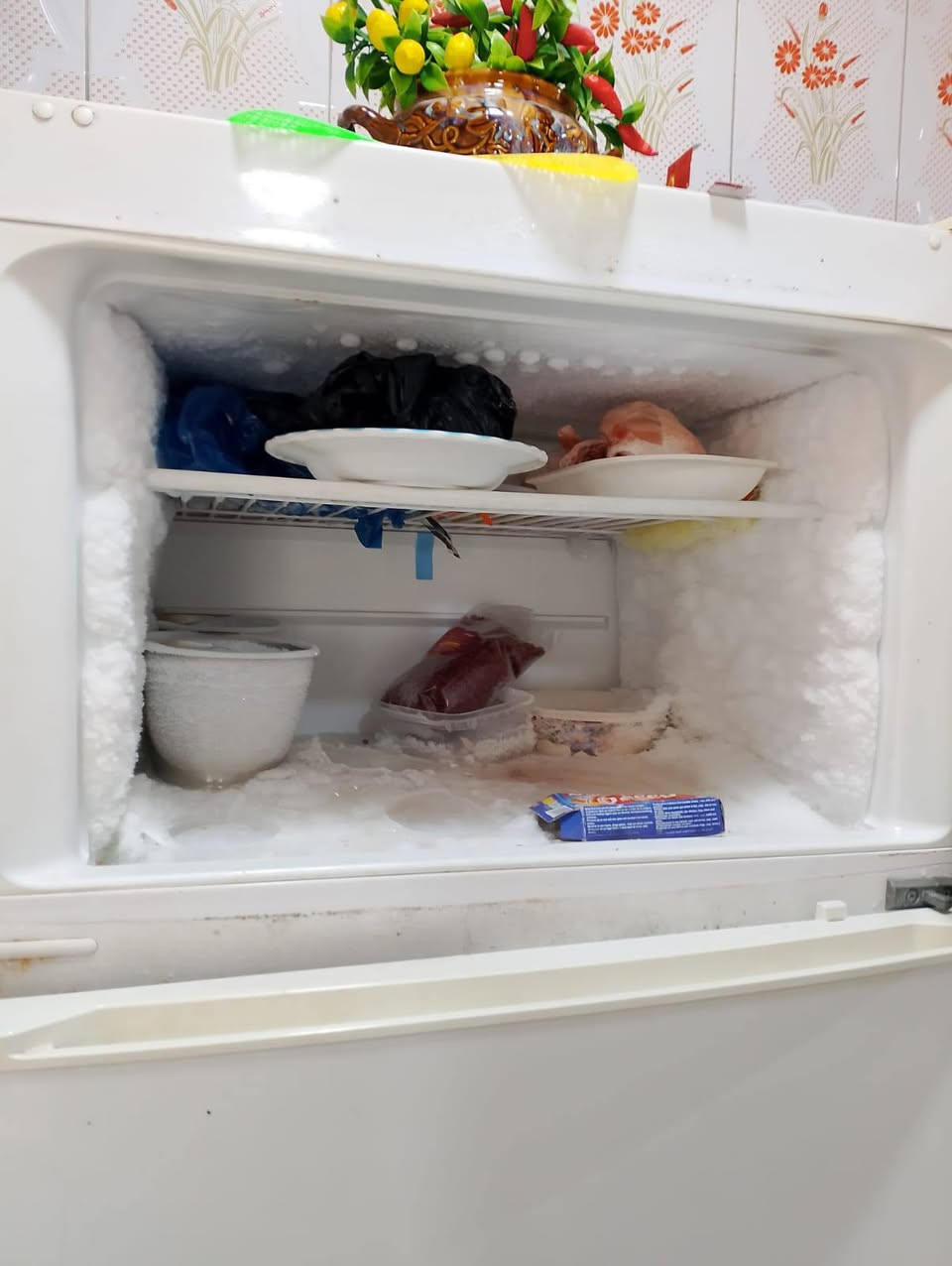 سلام عليكم ثلاجه للبيع كربلاء حي العباس السعر ٢٠٠ وبيهه مجال اتصال ***********
