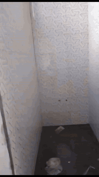 اخوان هذا شغلي  متفرق  ***********
