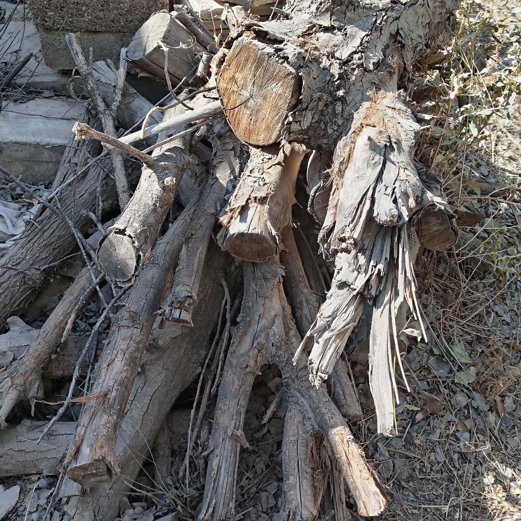 سلام عليكم حطب حايل  للبيع الكيه ب150الي يريدهن يتصال ***********
