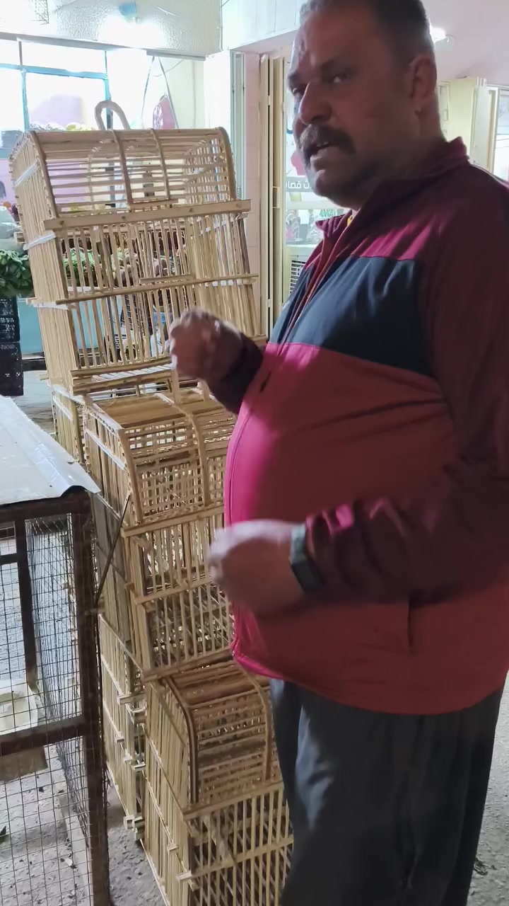 اتوفرت اقفاص خوص عراقي وعود صيني حجم كبير وصط وزغير العنوان سامراء تقاطع الحداحده قرب محلات الطيور يم فوزي اب أبو العباس السامرائي وعلي السلاوي @AIiAbduIah


**إذا كنت صاحب هذا الإعلان وتريد حذفه لأي سبب، رجاءا أرسل رسالة إلى الدعم الفني**