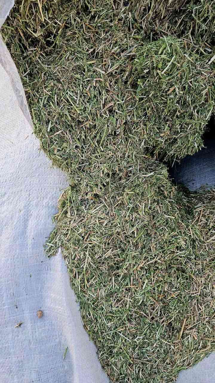 تبن جت درجه اولى فول نظافه خالي من الكصب والادغال مكان كربلاء يوجد توصيل ***********
