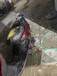 فراشة • فحل • دسك مقدم