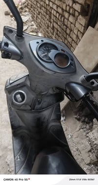 دراجة يابانية • فحل • مكفولة