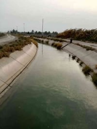 ٥ دونم • الشيخ عامر ذراع دجلة • خدمات كامله