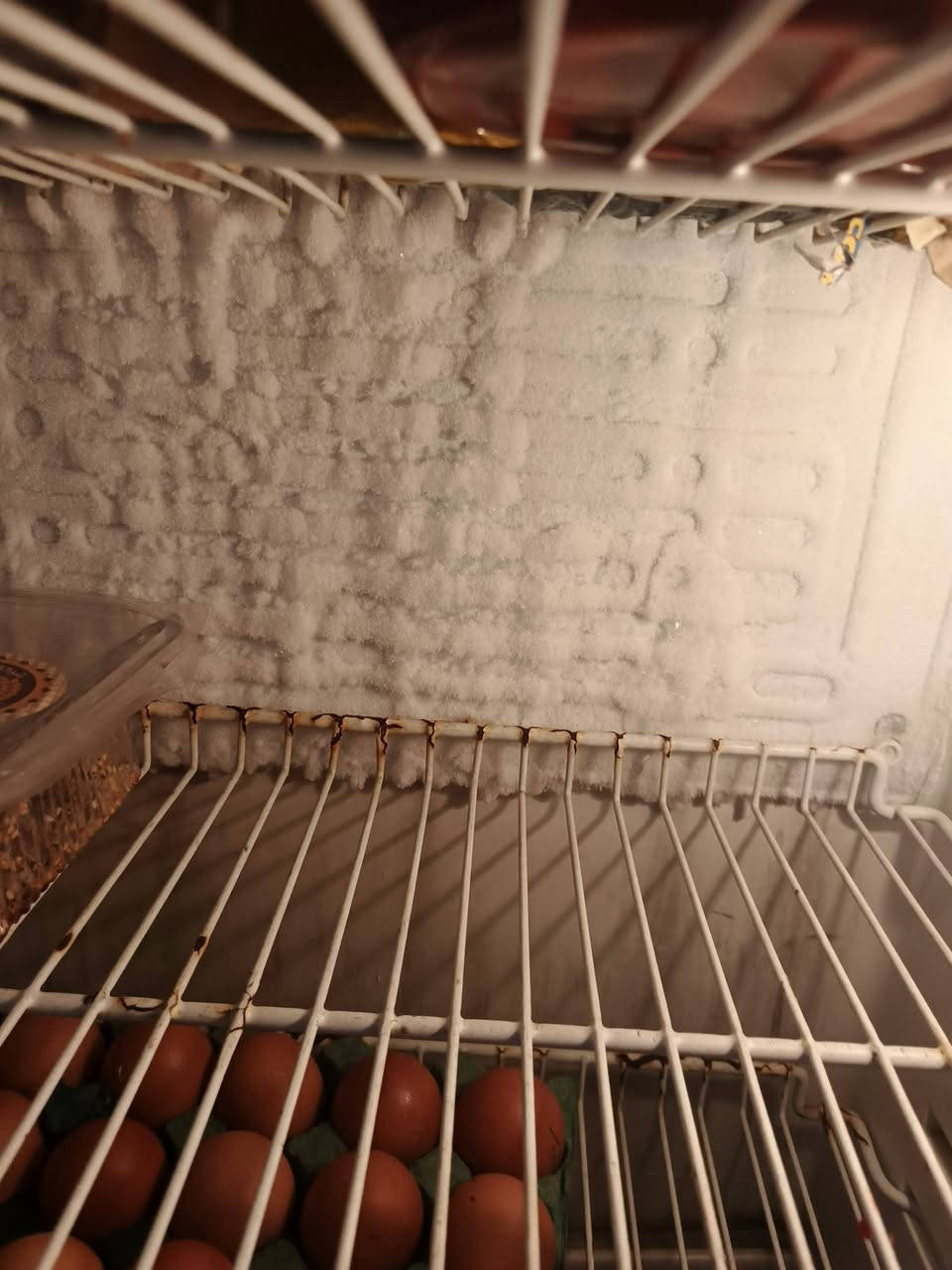 ثلاجه فول تجميد سعرها 125مستعجله ع بيعتها


**إذا كنت صاحب هذا الإعلان وتريد حذفه لأي سبب، رجاءا أرسل رسالة إلى الدعم الفني**