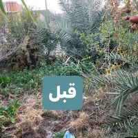 رمادي • جمع حديد • حدايق