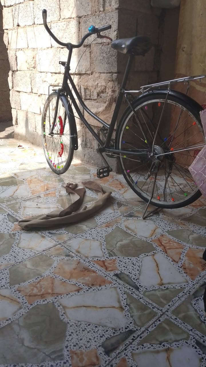 السلام عليكم بايسكل للبيع الحجم 26 باسكن نظيف سعر 50 بمجال


**إذا كنت صاحب هذا الإعلان وتريد حذفه لأي سبب، رجاءا أرسل رسالة إلى الدعم الفني**