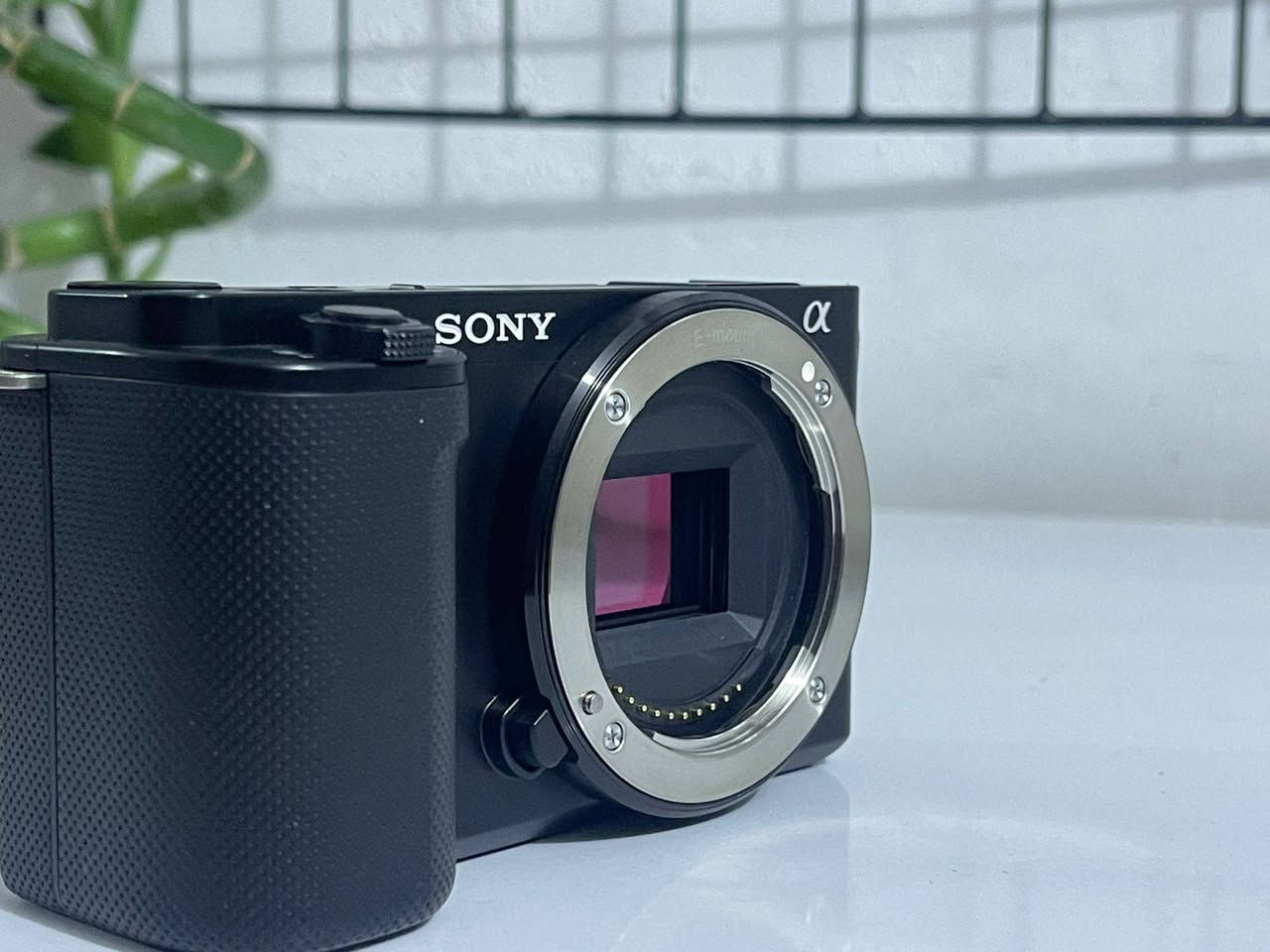 Sony Zve10
وياها عدسة 16/50
كيبل شاحنة بطارية احزام 
24 ميغا بكسل بالفوتو
فيديو 4k 
تصوير 50 فريم سلوموشن ع 4k
120 فريم  hd
وتستخدم مع الحاسبة أيضا
كارتونة وكل ادواتها وياها 
نظيفة جدا جدا  استخدام قليل 

سعر 700 وبيها مجال قليل


**إذا كنت صاحب هذا الإعلان وتريد حذفه لأي سبب، رجاءا أرسل رسالة إلى الدعم الفني**