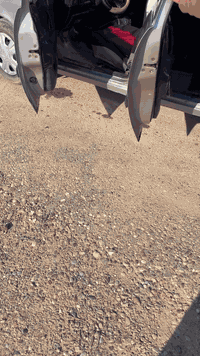 ڤكتره • ١٩٩١ • رقم الأنبار