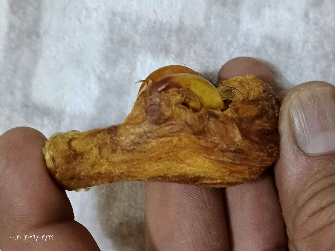 كعب الذيب فوائده لجلب الحظ وعلاج للمفاصل البصرة, العراق


**إذا كنت صاحب هذا الإعلان وتريد حذفه لأي سبب، رجاءا أرسل رسالة إلى الدعم الفني**