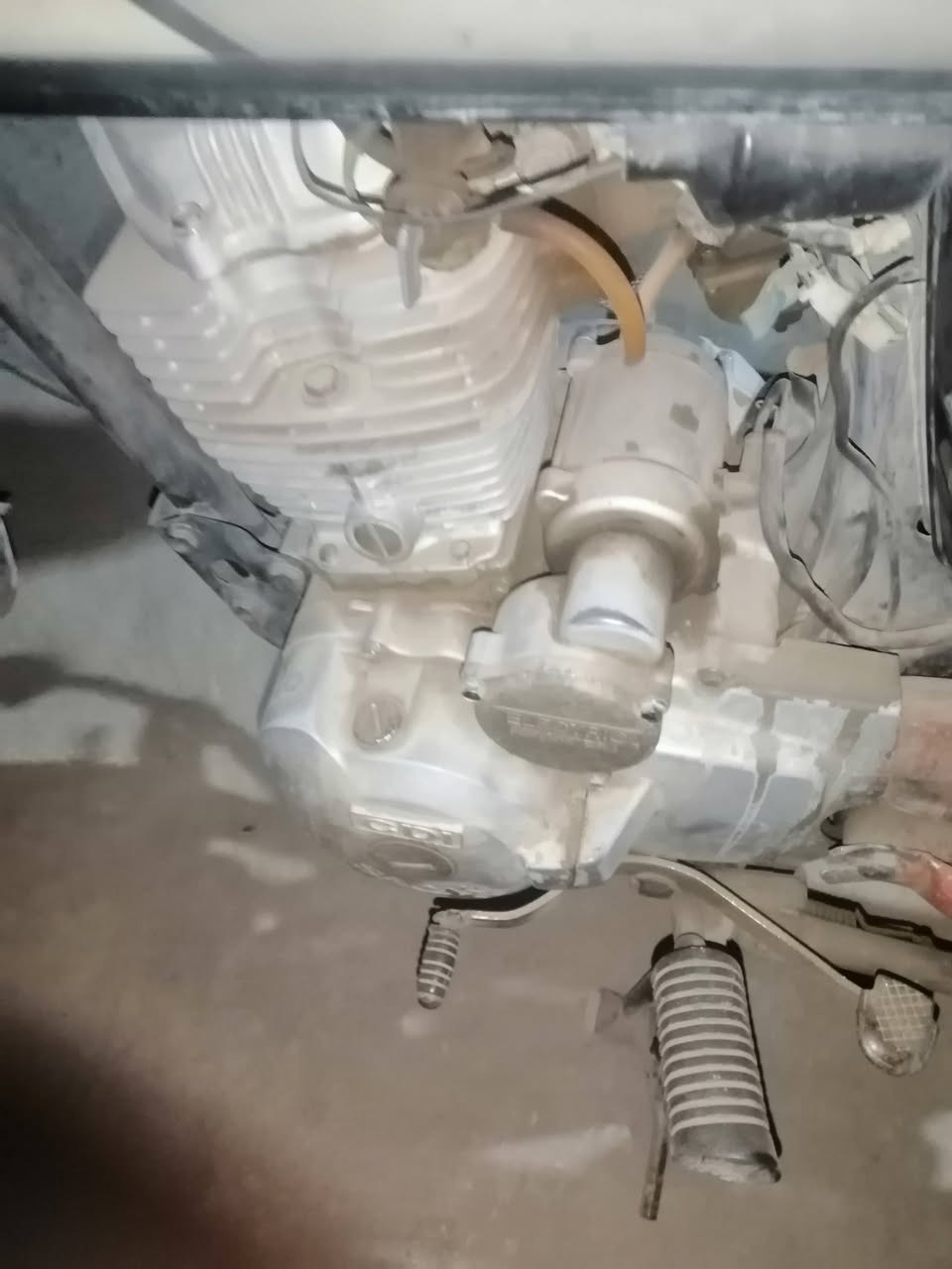 دراجة البيع رقم ابيض وسنوية السعر 500وبيهة مجال رقم الهاتف ***********
