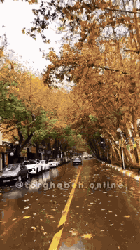 💥 تعلن  حملة حسين الوهامي 💥
كروب رأس السنه
كروب ايران البري يوم 25/12/2025 البرنامج الثاني يوم 3/1 ب شهر الواحد

            ♦️ كروب ايران ♦️قم مشهد نيشابور
      👈🏻 175 الف بدون طعام
      👈200 مع 3 وجبات طعام 
               👈🏻12 يوم  مده الرحله   
      موعد الانطلاق ; يوم  25/12/2025
   
    ((   3 وجبات طعام في مشهد    ))
                               
♦️باصات vip 🚌 2×1 رجال الأعمال 25نفر 
                
البرنامج ♦️
✅اليوم الأول : التجمع  والانطلاق نحو الحدود الايرانية ومنها الانطلاق الى قم المقدسه 

✅اليوم الثاني : الوصول إلى مدينة قم المقدسه واستلام الغرف وبعد الاستراحه الخروج إلى زيارة السيدة المعصومه  

✅اليوم الثالث : الذهاب إلى  المزارات اربعين علوي وعلويه وموسى المبرقع وبيت النور  داخل قم المقدسه 

✅اليوم الرابع : التوجه إلى مشهد

✅اليوم الخامس : صباحا الوصول إلى مشهد واستلام الغرف وزيارة الامام الرضا 

✅اليوم السادس : الذهاب إلى مزارات ياسر وناصر وخواجه ربيع و ابا صلت الهروي 

✅اليوم السابع :  اليوم السياحي الذهاب جبل النور ( كوسنجي و باغ مشهد  ) 

✅ اليوم الثامن : يوم حر للمسافر 

✅اليوم التاسع : وداع الامام الرضا والتوجه إلى قم المقدسه مرورا بقدم الامام الرضا 

✅اليوم العاشر : الوصول الى قم المقدسه واستلام الغرف وزيارة السيدة المعصومه 

✅اليوم الحادي عشر : وداع السيدة معصومة (عليها السلام) والتوجه إلى الحدود العراقيه
________________________________

للحجز والاستفسار الاتصال على الرقم ***********
 (واتساب + اتصال )
