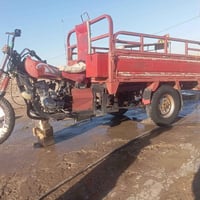 ستوته • كلك كلك • دوانيه سنيه