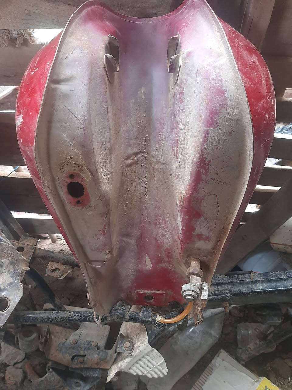 غراظ تايموتة للبيع كلهن أصلي شرط مال تفصيخ شنو الرايدة تعال خاص او اتصل ***********
مكاني شطرة وموجود صالنصات هم مكاني شطرة
