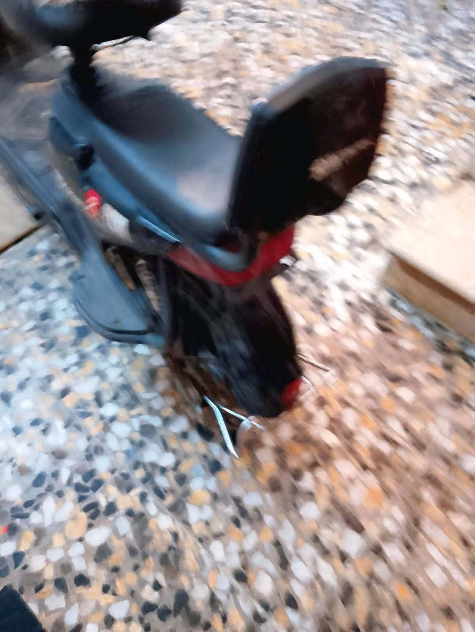 سلام عليكم دراجه شحن البيع دراجه طافيه ما ادري شبيهه باتريات نضيفه دراجه كدامكم بل صور سعر100 وبيهه مجال الطيبين عنوان بغداد البلديات رقم هاتف ***********
