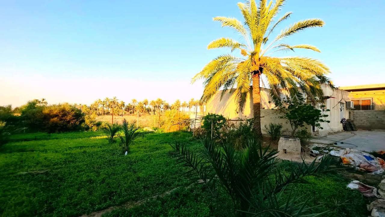 @إشارة *البستان للبيع / دونمين إله ربع
حي الحسين الجديد قرب مشروع جسر الناظم الماجديه
______
 البيت الأول 
_________
 متكون من طابقين
1-  الطابق الاول( غرفتين +صاله +استقبال +مطبخ
+حمام داخلي) 

2- الطابق الثاني ( غرفة + صالة + صحيات داخلية

بأضافة / إلى مضيف خارجي

البيت الثاني /مشتمل 
________________
متكون من غرفة + صالة+ مطبخ + استقبال + صحيات*

متوفر  كهرباء تبليط مجاري كلشي متوفر
للاستفسار الاتصال على الرقم
*********** عمارة, ميسان
