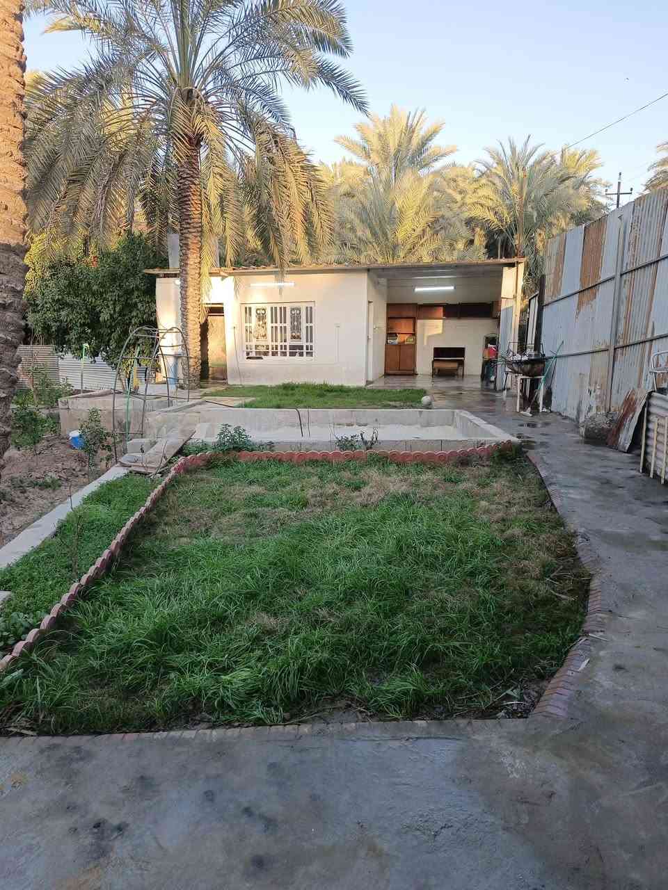 🌴 مزرعة للبيع أو المراوس 🌴
📐 المساحة: 1000 متر مربع
📍 الموقع: ركن مميز على شارعين
✨ فرصة ممتازة للاستثمار أو السكن ✨
📞 للتواص.. ***********..
