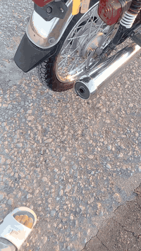 االسلام عليكم  شباب   دراجه شاصي اوراق اصولي   19  بيها مكينه 19  وباقي 25 شلامجه كلها  الدراجه مبدل بيها ولفات.   والدراجه شوفت عينكم عازلها بس ترتيب  ***********... سعر 775
