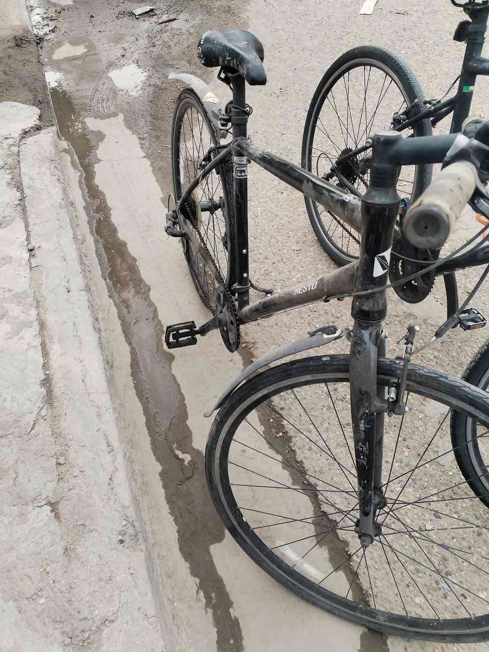 المكان بغداد موجود خده توصيل داخل بغداد كلها باله


**إذا كنت صاحب هذا الإعلان وتريد حذفه لأي سبب، رجاءا أرسل رسالة إلى الدعم الفني**