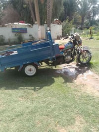 ستوته • جمرة • مكفولة