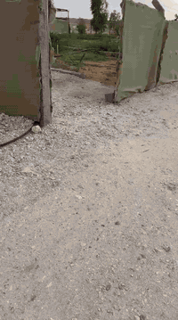 مزرعه للبيع مساحه دونم السعر ٣٣
مسيجه بالكامل تحتوي على نخل
ومشتمل ومرشات زراعيه
هيت قرب مزرعة الغزال 
للاستفسار ***********
