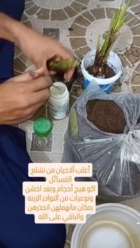 فسائل • نوادر • مشتل_الرحمانيه