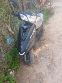 بغبغاء • كامله • شرط الفحص