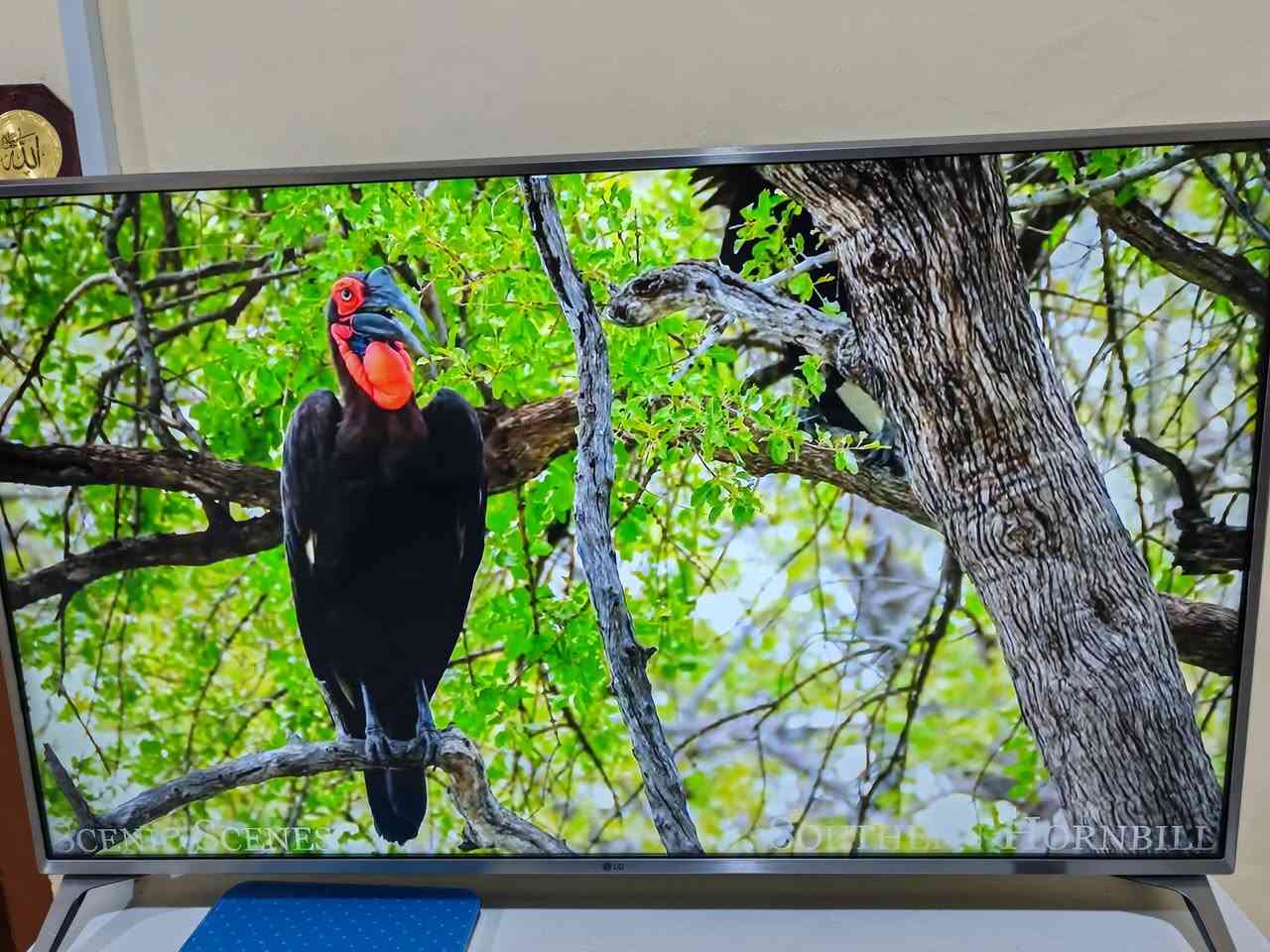 شاشة  إل جي للبيع موديل (LG 49UJ651V) وهي تلفاز ذكي بدقة 4K. كوريه وليست مصري او اندنوسي ومشتغله فقط ٤ اشهر.
شاشة  إل جي للبيع موديل (LG 49UJ651V) وهي تلفاز ذكي بدقة 4K. كوريه وليست مصري او اندنوسي ومشتغله فقط ٤ اشهر..
شاشه تفيد جماعة الالعاب ايضا لان راح تنطيك دقه فور كي حقيقي وليس كلام فقط مثل شاشات الصيني 
للمعلومه اكو تقليد صيني للشاشه ومعروفه 

المواصفات الأساسية

· الموديل: LG 49UJ651V 
· النوع: تلفاز LED ذكي (Smart TV) 
· سنة الصنع: 2017 (كما هو موضح على الملصق) 

الشاشة والعرض

· الحجم: 49 بوصة (قطرياً) 
· الدقة: 4K Ultra HD (3840 x 2160 بكسل) 
· نوع اللوحة: IPS (توفر زوايا مشاهدة واسعة) 
· معدل التحديث: 100 هرتز (مؤشر تردد) 
· تقنيات الصورة:
  · HDR: تدعم تقنيات Active HDR و HDR10 و HLG .
  · معالج ألوان: يحتوي على محرك لتحسين الألوان (Color Master Engine) .
  · رفع الدقة: يمكنه رفع دقة المحتوى العادي إلى قريبة من 4K (4K Upscaler) .

الصوت

· الطاقة الصوتية: 20 واط 
· نظام السماعات: 2.0 قناة 
· محيط صوتي: يدعم تقنية Ultra Surround لمحاكاة الصوت المحيطي .

النظام الذكي والاتصال

· نظام التشغيل: webOS 3.5 
· التحكم: جهاز التحكم السحري (Magic Remote) جاهز للاستخدام (يُباع بشكل منفصل غالباً) .
· البث والمرايا: يدعم Miracast و WiDi لعكس الشاشة من الأجهزة المحمولة والحاسوب .

المنافذ والمداخل

· HDMI: 4 منافذ (واحد منها يدعم ARC لإرجاع الصوت) 
· USB: 2 منفذ (بإصدار 2.0) 
· الشبكة: منفذ LAN (إيثرنت) و Wi-Fi مدمج (802.11ac) .
· اتصالات أخرى: Bluetooth مدمج ، مخرج صوت رقمي (Optical) ، مدخل RF للهوائي والقمر الصناعي ، ومدخل مركب (Composite) مشترك .

الطاقة

· مصدر الطاقة: AC 100-240V ~ 50/60Hz (كما هو موضح على الملصق) 
· الاستهلاك في التشغيل: حوالي 85 واط 
· الاستهلاك في وضع الاستعداد: 0.5 واط 

الأبعاد والوزن

· بدون قاعدة (عرض × ارتفاع × عمق): 110.7 × 64.5 × 7.9 سم 
· مع القاعدة (عرض × ارتفاع × عمق): 110.7 × 70.5 × 23.3 سم 
· الوزن بدون قاعدة: 11.3 كغم 
· الوزن مع القاعدة: 11.5 كغم 
· مقاييس التثبيت على الحائط (VESA): 300 × 300 ملم


**إذا كنت صاحب هذا الإعلان وتريد حذفه لأي سبب، رجاءا أرسل رسالة إلى الدعم الفني**