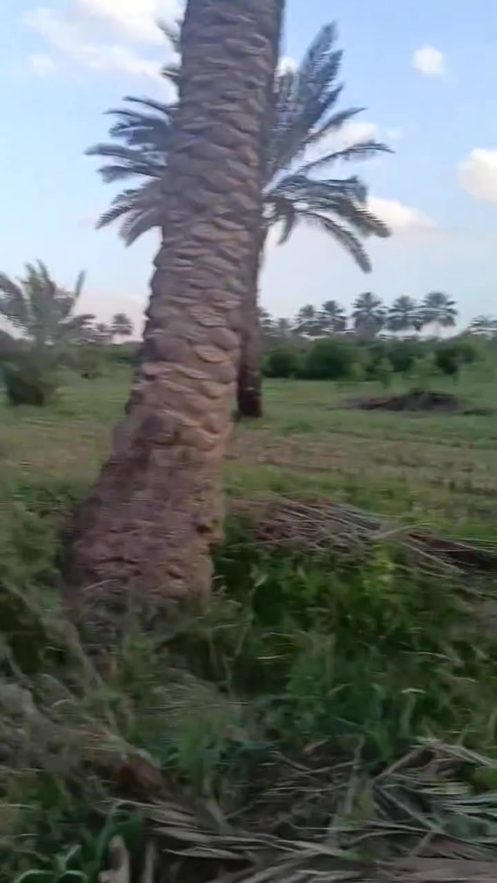 دونم زراعي سند ٢٥ للبيع يرهم مزرعه او سكن أو استثمار 
العنوان كاظميه -شارع الطي قرب جامع المختار 
اي استفسار متواجد خاص


**إذا كنت صاحب هذا الإعلان وتريد حذفه لأي سبب، رجاءا أرسل رسالة إلى الدعم الفني**