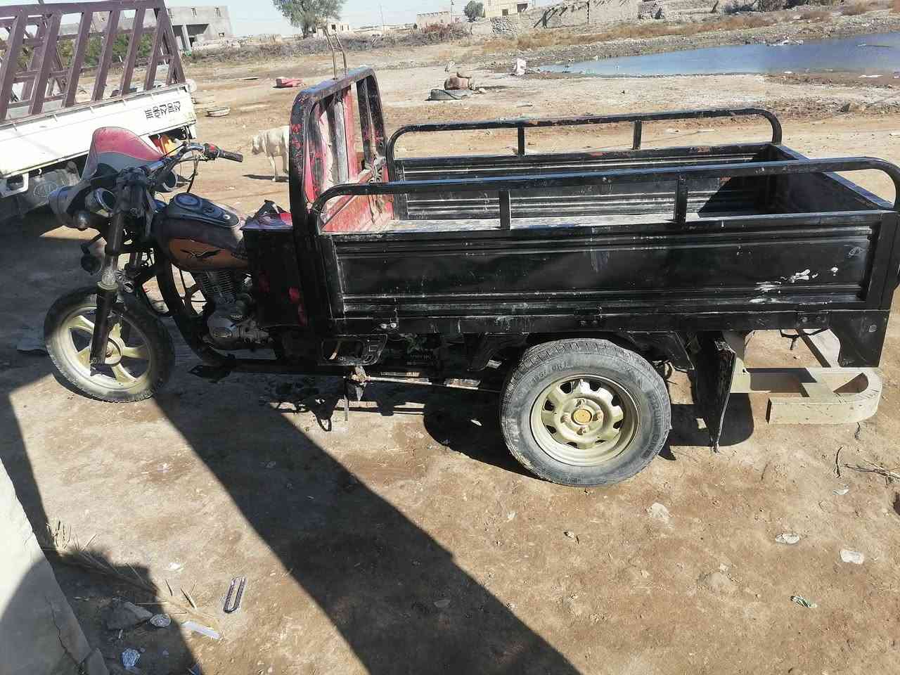 ستوته للبيع رقم ابيض بسمي مكفوله كفاله عامه استفسار خابر ودلل ***********
