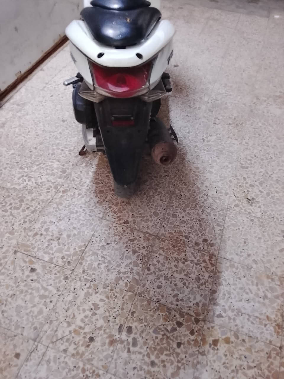 السلام عليكم pcx جيل اول نظيف ياباني اصلي  مبدل فقط ولفات مكاني بصرة السعر واحد ومية 
الرقم ***********
