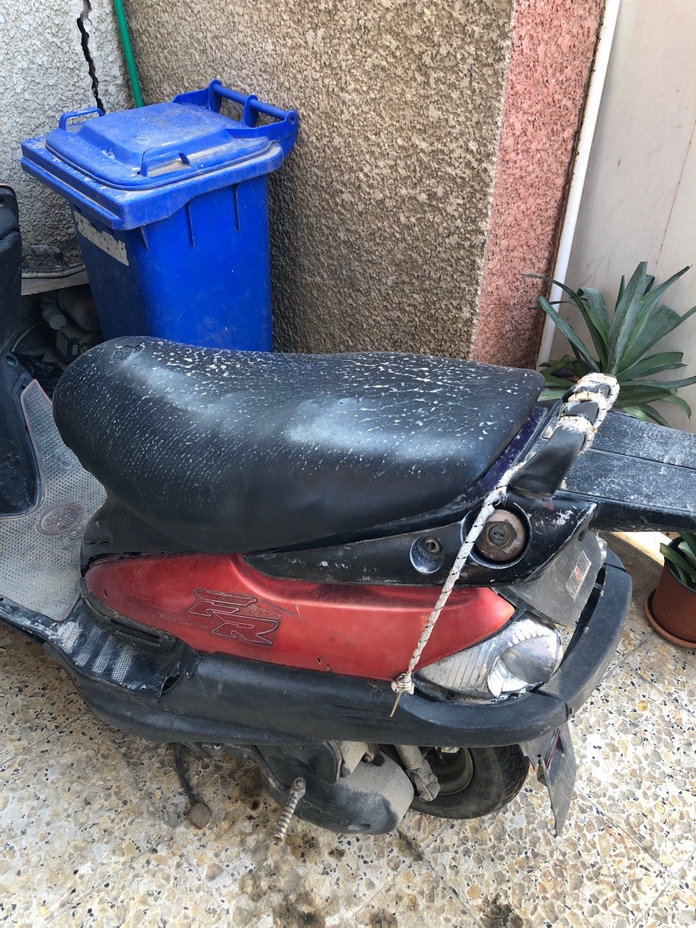 السلام عليكم ورحمة دراجة فراشة كوم حديد
بغداد الشعب/ شارع الصحة