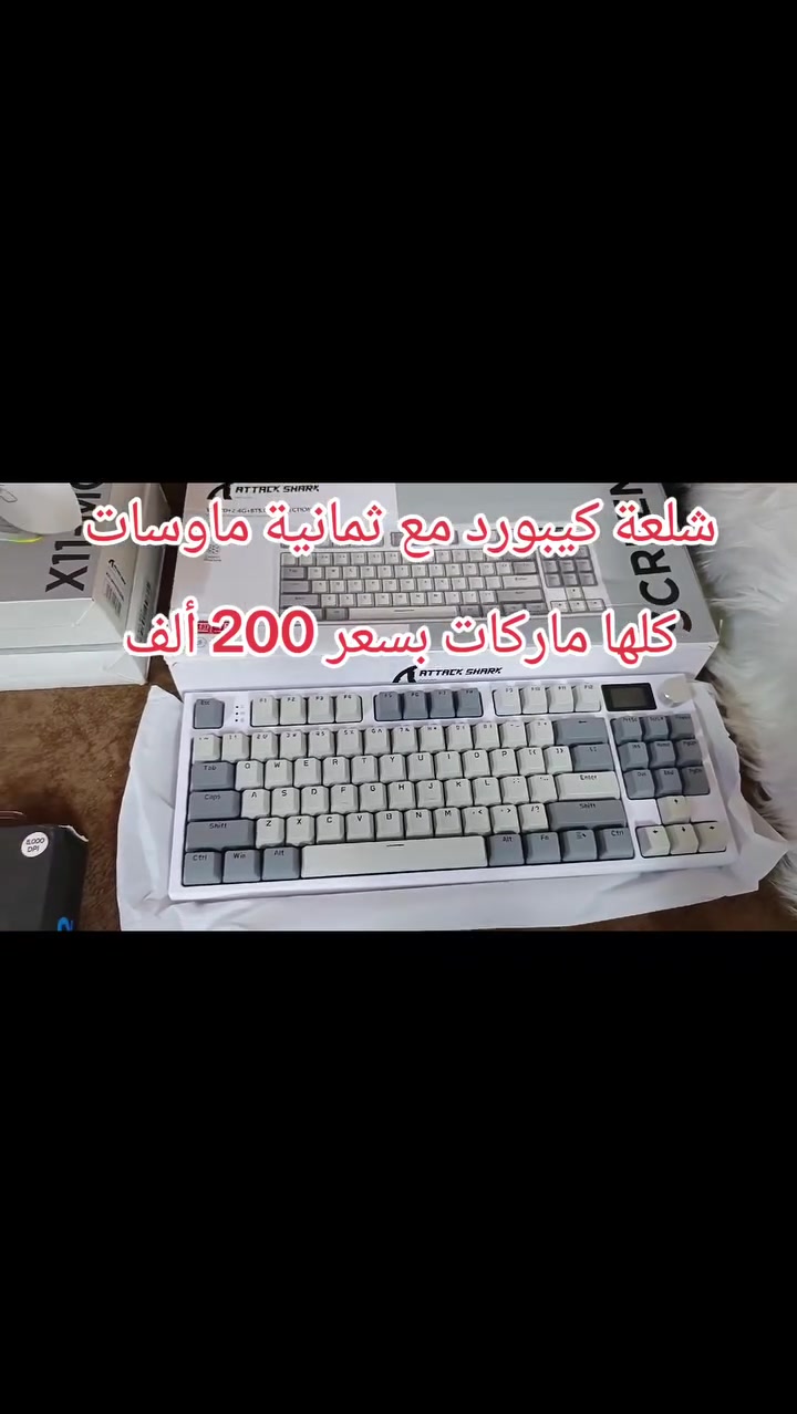 السلام عليكم ورحمة الله وبركاته
شلعة متكونه من كيبورد أتاك شارك مع ثمانية ماوسات ماركة ( أتاك شارك + رايزر + لوجيتك ). سعرالشلعة 200 ألف وانت احسب القطع شگد سعرها وشوف مناسبه لو لا .


**إذا كنت صاحب هذا الإعلان وتريد حذفه لأي سبب، رجاءا أرسل رسالة إلى الدعم الفني**