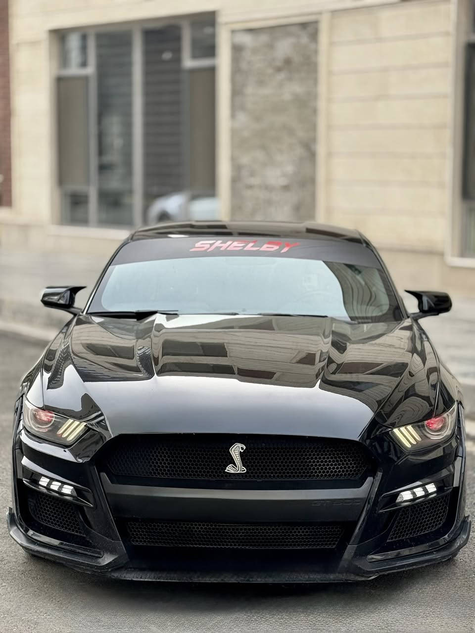 ب سعر البلاش فورد موستنك 2016
رقم بغداد  مميز الدولي باسمي تحويل ثاني يوم
كت شيلبي بل كامل اصلي 
مع دوسات هينسي 
سبايدر شيلبي 350 
لد عدسه اصلي زينون عيون الشيطان
السياره عليها ادامه بل كامل  من جميع النواحي
مكينة 6 سلندر بل جيس  
كير ومكينه بل جيس 
السياره عليها صوت  اكزوست يخبل نغمه طرب
داخلها جديد 
تايرات جدد 
علامه ضوئيه 
سستم صوت يخبل بل سياره 
 حادث السياره جدا سخيف 
بيها قطعتين كلير بامريكا 
وقطعتين صبغ بل عراق يعني 4 قطع صبغ اثر طخات
السيارة كلش حلوة بل حقيقه بل عافيه عل ياخذها   

 السعر 137 وبيها مجال للشراي 

مكاني بغداد الكرخ 

***********
