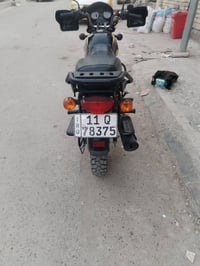 بوكسر كفاله رقم سنويه تحويل ثاني يوم بغداد مدينه الصدر 07741449865