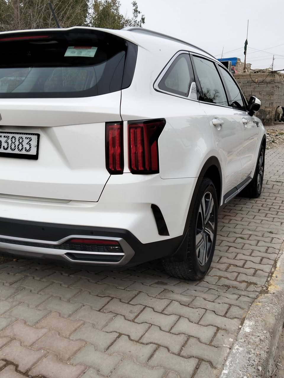 السلام عليكم سورنتو23 خليجي كفاله عامه محرك 2500 تيربو المرغوب سياره فول ماعده الكشن جلد والبنورامه ماشيه 50الف عله وضع الشركه سعر 245 رقم *********** تحويل ثاني يوم
