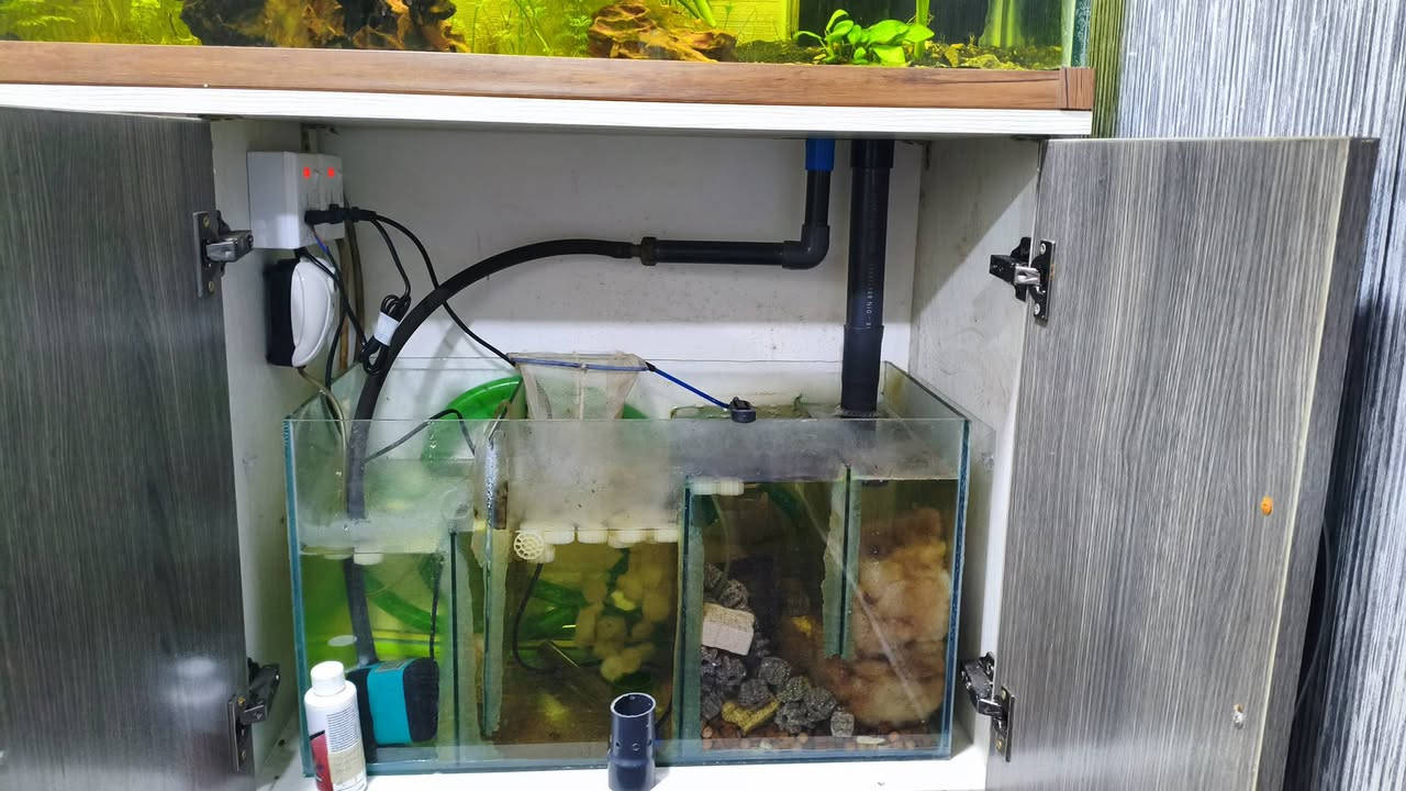 سلام عليكم. حوض للبيع
الحوض   يحتوي ع نباتات. موضحه بصور يحتوي ع 12قطعه سمكه دانيو. و2قطعه كوبي. 1قطعه انجل 2 قطعه اكلات طحالب يحتوي على شرمب بس ماعرف العدد بضيط رمل ارضيه منضومه سامب حترافي كامله   شغل الاستاذ علي طالب  مضخه هوه ومضخه ماء هيتر اصلي ستيل مع ميديا وفحم نشط وديباجج
ثنين اناره الحوض  ويا بكتريا نافعه واسمده وفيتامين للنباتات من دكتور تانك يحتوي على خشب متحجر واحجار القياسات موضحه متر العرض نزال 40 رتفاع 58. جام 10مم. مع رباطات 10مم

السعر 275 كامل مع السامب ولاسماك وكل المحتويات مكاني بغداد قضاء الحسينيه 
***********
