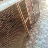 قفص • ٢م×١م • شغل نجار