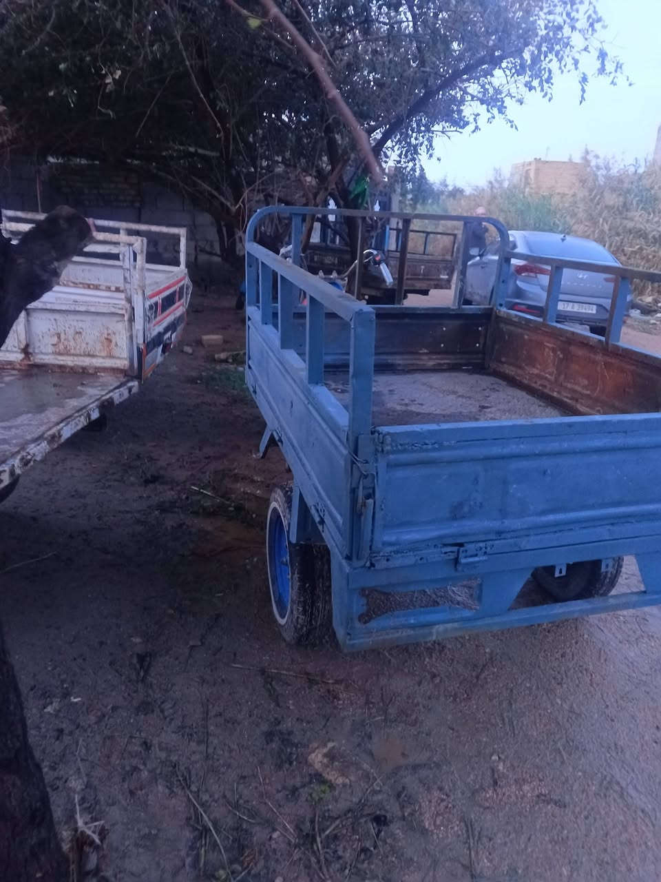 سلام عليكم ستتة 2017 كفالة عامة اوراق اصولي شاصي شخط ما بي مكاني رميثة ***********
